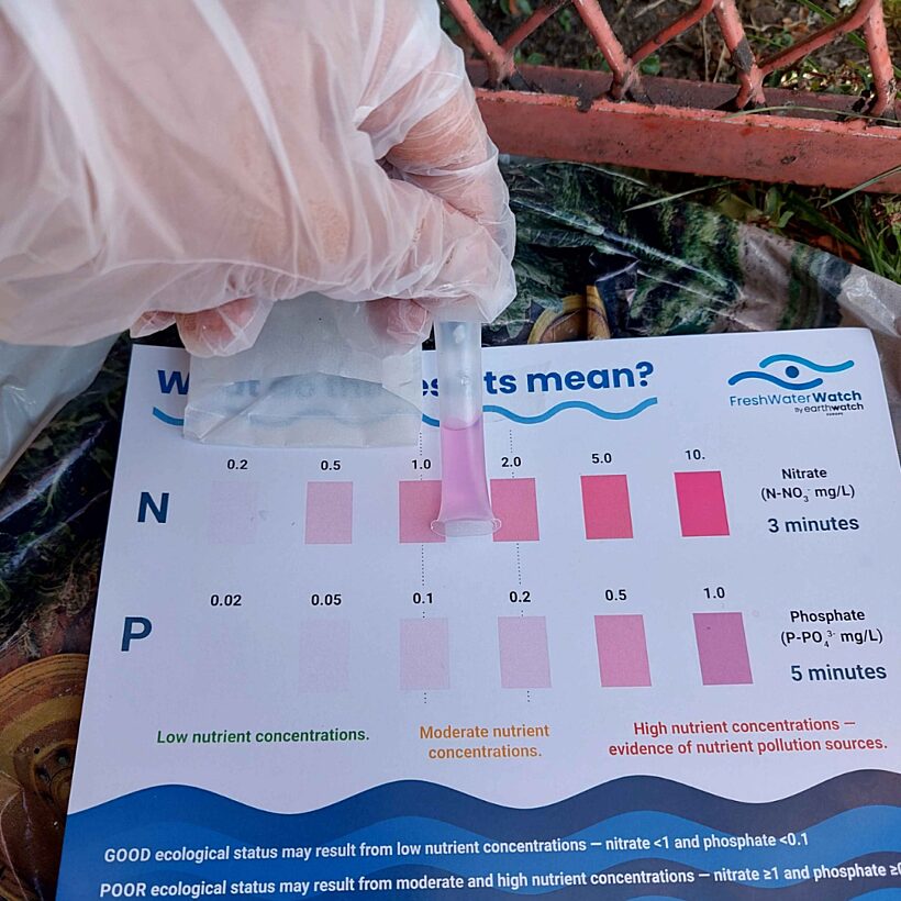 Hand in clear glove holding a tube of slightly pink water against a card showing how different shades of pink relate to different levels of nitrates