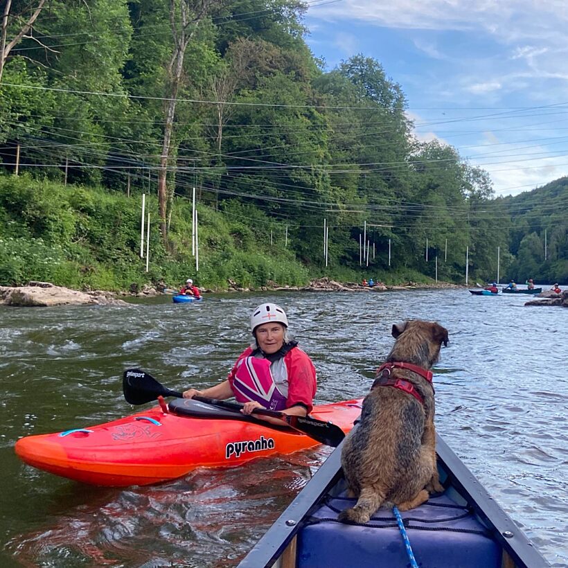 Person in pink jacket in a red kayak on river, photo taken from a blue canoe with a brown dog stood at front