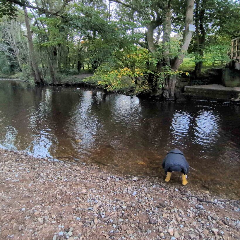 View of a gravel river bank in foreground and a small child in yellow wellies standing bent over at the edge of the water