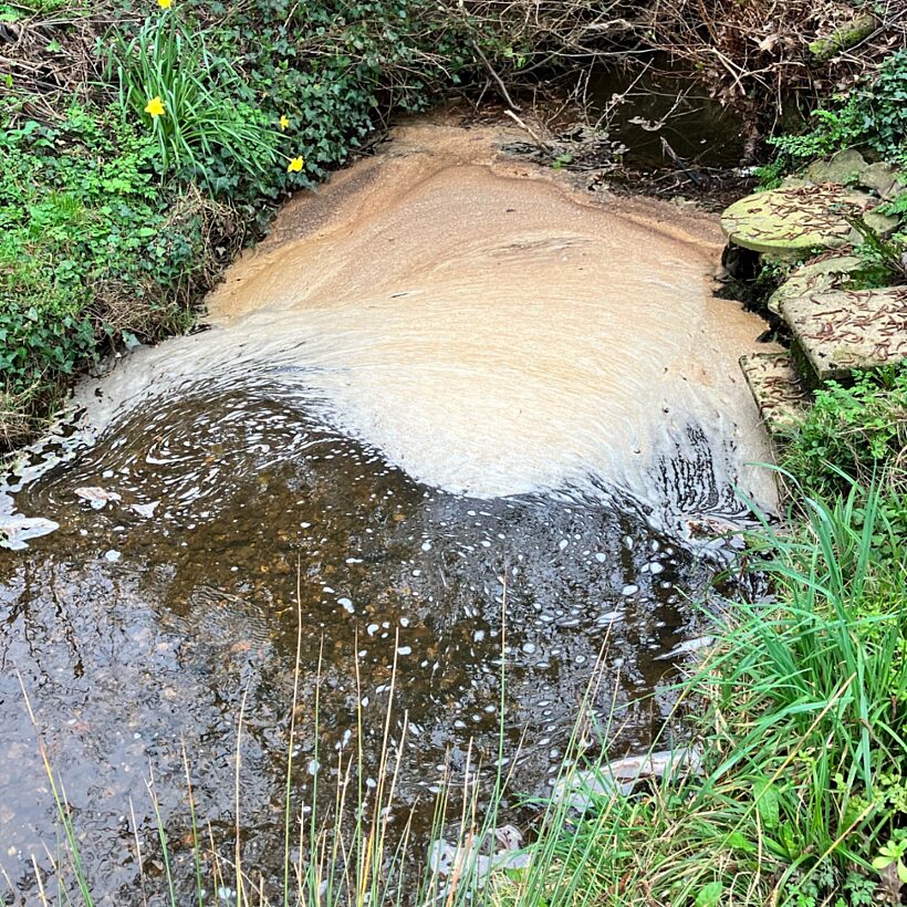 Brown sewage on the surface of a river with grassy banks either side