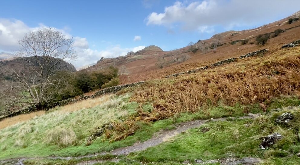 A sloping hill with brown and green low vegetation descends towards a river in west Cumbria