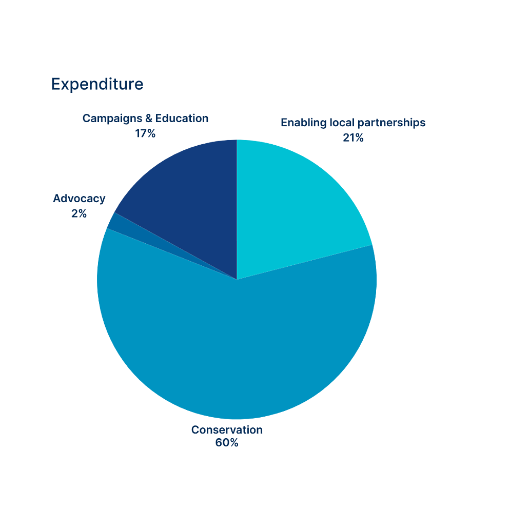 Expenditure pie chart 2024-25