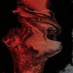 The Hive banner image