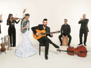 Daniel Martinez Flamenco Andalucia