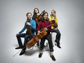 Gildas Quartet Close White Background