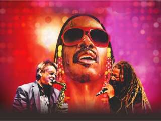 The Wonder of Stevie image