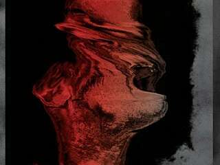 The Hive banner image