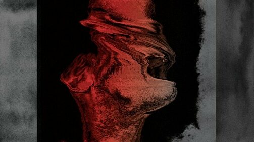 The Hive banner image