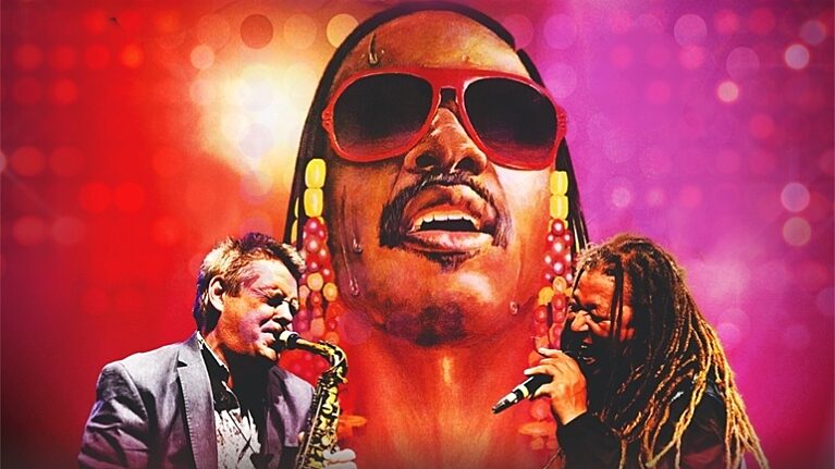 The Wonder of Stevie image