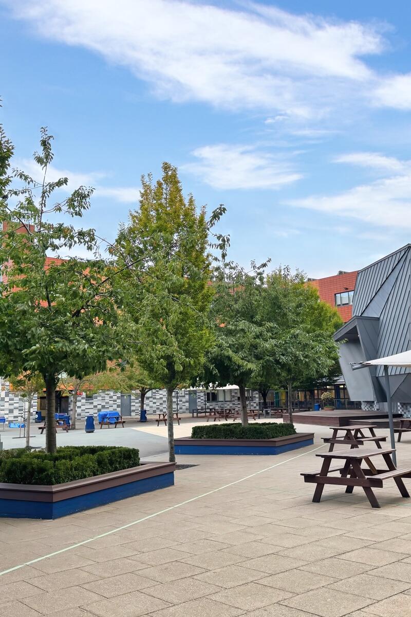Contemporary London school courtyard with trees, picnic benches and covered seating area.