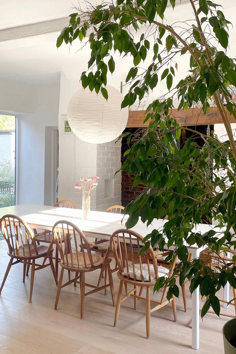 Bright dining room with large windows and patio doors opening to the garden. White walls, natural wood chairs, large indoor plant and minimalist design — ideal for lifestyle or brand shoots.