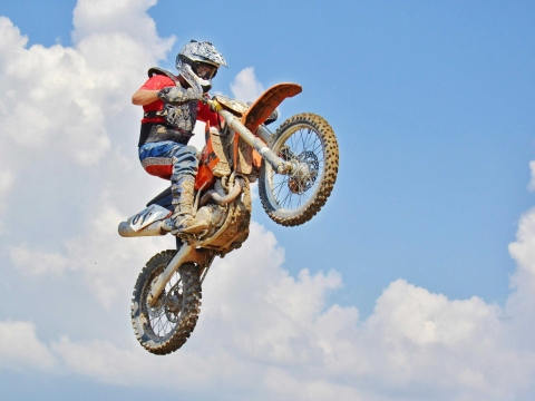 Pexels dana tentis 118658 356289