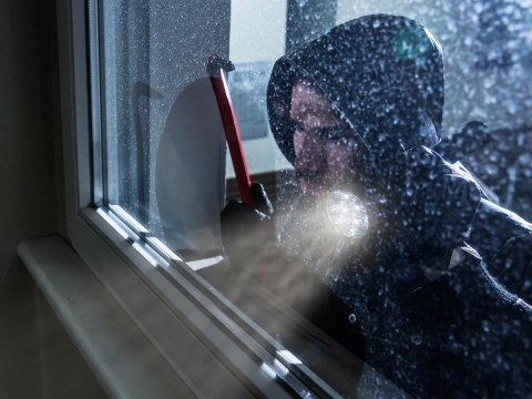 Garage motorbike burglar