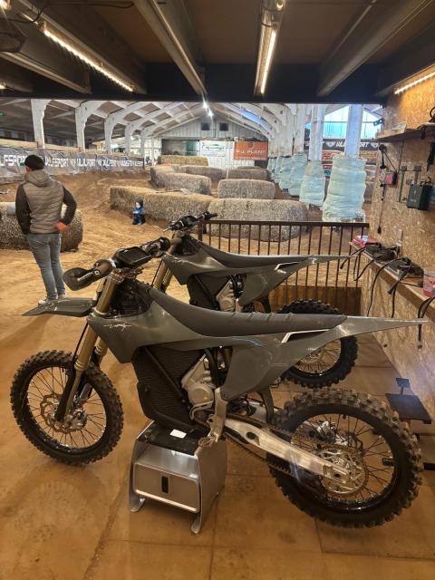 Stark varg waiting in the wings