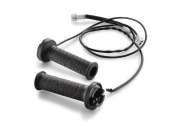 Heated grips adventure