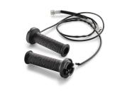 Heated grips adventure