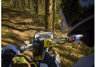 14 07 2023 1507 sur ron Storm Bee cov img 07