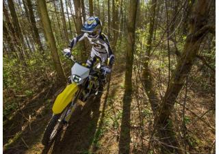 14 07 2023 1507 sur ron Storm Bee cov img 08