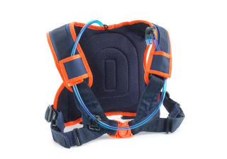 REPLICA TEAM ERZBERG HYDRATION PACK BACK