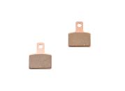 BRAKE PADS SINTERED BETA EVO REAR 09 22