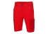 TEAM SHORTS