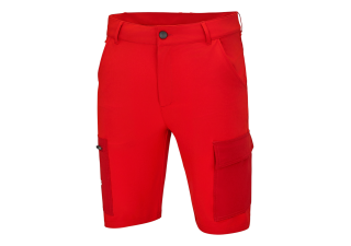TEAM SHORTS