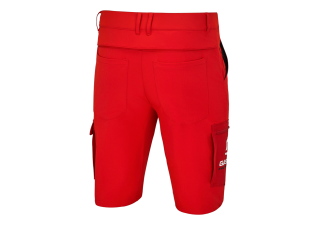 TEAM SHORTS back