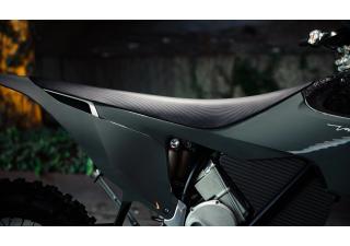 03062025 1610 starkvarg ex gry 004