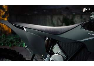 03062025 1610 starkvarg ex gry 004