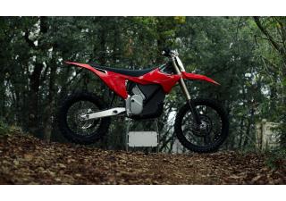 03062025 1610 starkvarg ex red 001