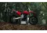 03062025 1610 starkvarg ex red 001