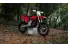 03062025 1610 starkvarg ex red 002