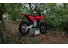 03062025 1610 starkvarg ex red 003