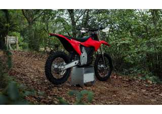 03062025 1610 starkvarg ex red 003