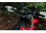 03062025 1610 starkvarg ex red 004