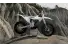 03062025 1610 starkvarg ex wht 001