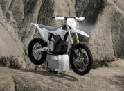 03062025 1610 starkvarg ex wht 002