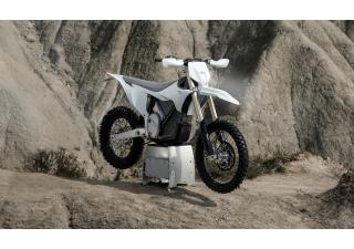 03062025 1610 starkvarg ex wht 002