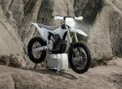 03062025 1610 starkvarg ex wht 002