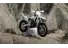 03062025 1610 starkvarg ex wht 002
