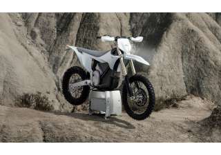 03062025 1610 starkvarg ex wht 002