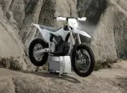 03062025 1610 starkvarg ex wht 002