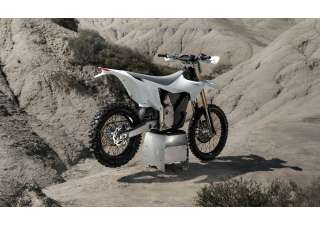 03062025 1610 starkvarg ex wht 003