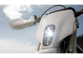 03062025 1610 starkvarg ex wht 004