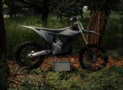 07062025 1233 starkvarg mx gry 001