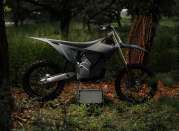 07062025 1233 starkvarg mx gry 001