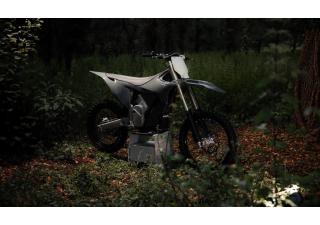 07062025 1233 starkvarg mx gry 002