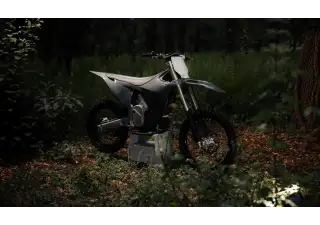 07062025 1233 starkvarg mx gry 002