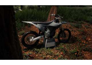 07062025 1233 starkvarg mx gry 003