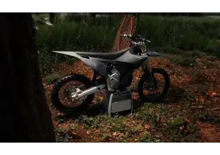 07062025 1233 starkvarg mx gry 003